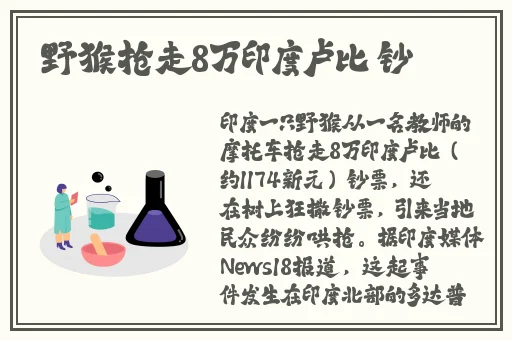 小BBW小BBBW小BBB